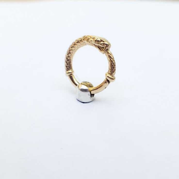 Argola Ouroboros 8mm 1 (Septo) 18k Amarelo