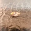 e6558d2194e7ae6086ce7e106034d037.webp